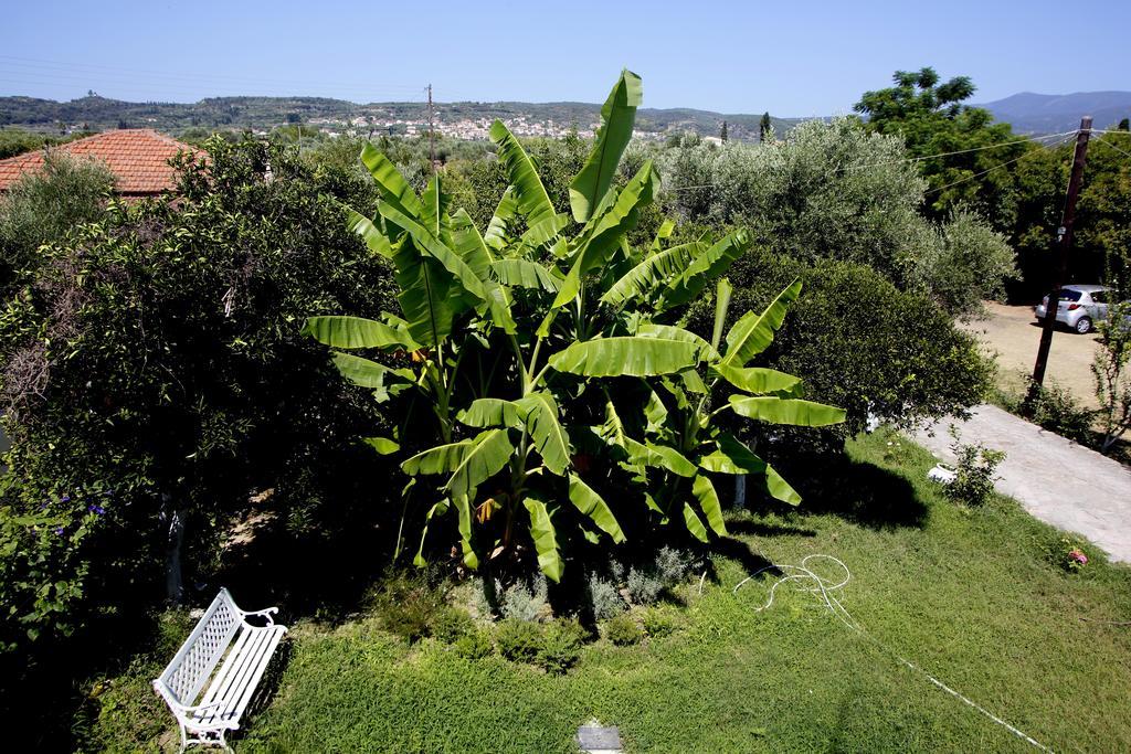 Aggelos Hotel Agios Andreas (Messenia) Exterior foto